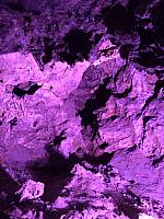 1-IMG 2323