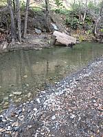 1-IMG 2444