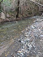 1-IMG 2445