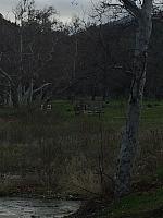 1-IMG 2476