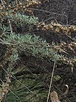 1-IMG 2489
