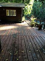 1-IMG 2513