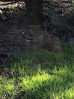 1-IMG 2520