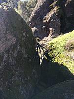 1-IMG 2526