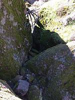 1-IMG 2527