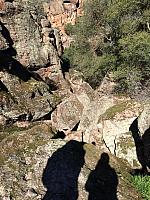 1-IMG 2528