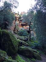 1-IMG 2529