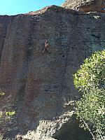 1-IMG 2639