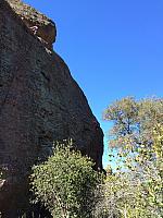 1-IMG 2645