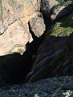 1-IMG 2663