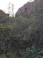 1-IMG 2691