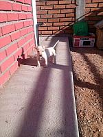 1-IMG 2751