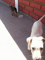 1-IMG 2834