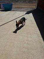 1-IMG 2835