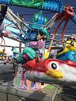 1-IMG 2896
