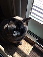 1-IMG 2967