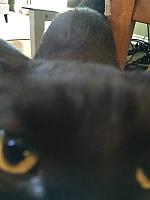 1-IMG 3047