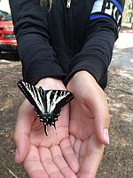 1-IMG 3078