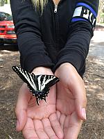 1-IMG 3079