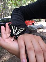 1-IMG 3084