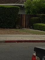 1-IMG 3323
