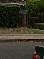 1-IMG 3324