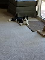 1-IMG 3358