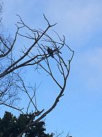1-IMG 3380