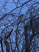 1-IMG 3381