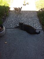 1-IMG 3392