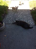 1-IMG 3393