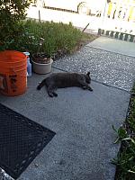 1-IMG 3394