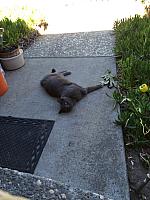 1-IMG 3409
