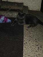 1-IMG 3434