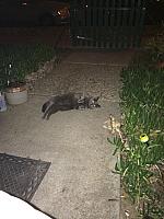 1-IMG 3435