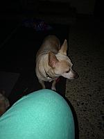 1-IMG 3436