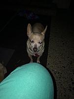 1-IMG 3437