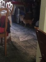 1-IMG 3452