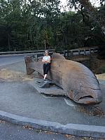 1-IMG 3478