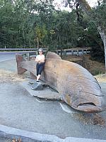 1-IMG 3480
