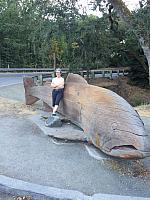 1-IMG 3481