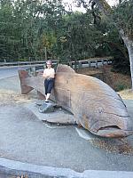 1-IMG 3484
