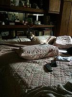 1-IMG 3511