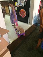 1-IMG 3531