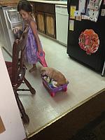 1-IMG 3532