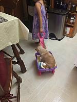 1-IMG 3534