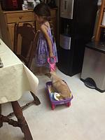 1-IMG 3535