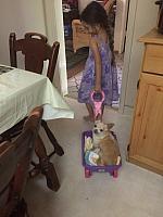 1-IMG 3536