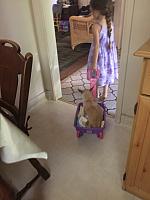 1-IMG 3537