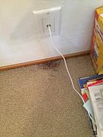 1-IMG 3545